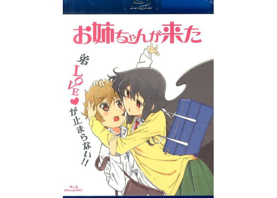 楽天ブックス お姉ちゃんが来た 安西理晃 本 楽天ブックス お姉ちゃんが来た 安西理晃 本